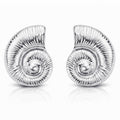 Seashells Earrings, Stainless Steel